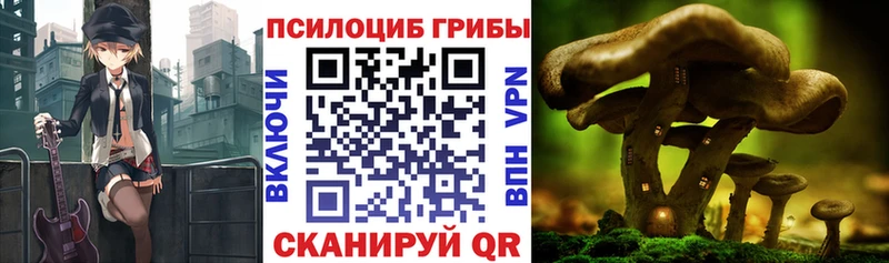 Галлюциногенные грибы Cubensis  Купить где  Пересвет 